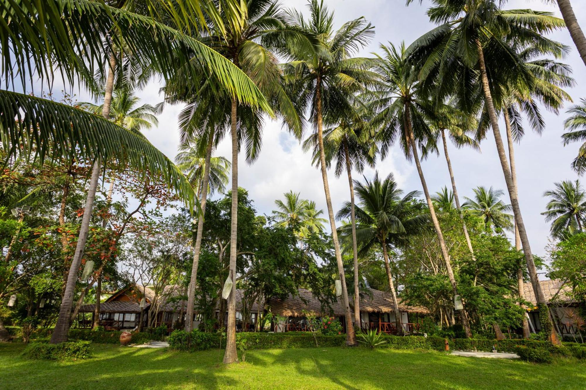 Lipa Lodge Beach Resort Lipa Noi Luaran gambar